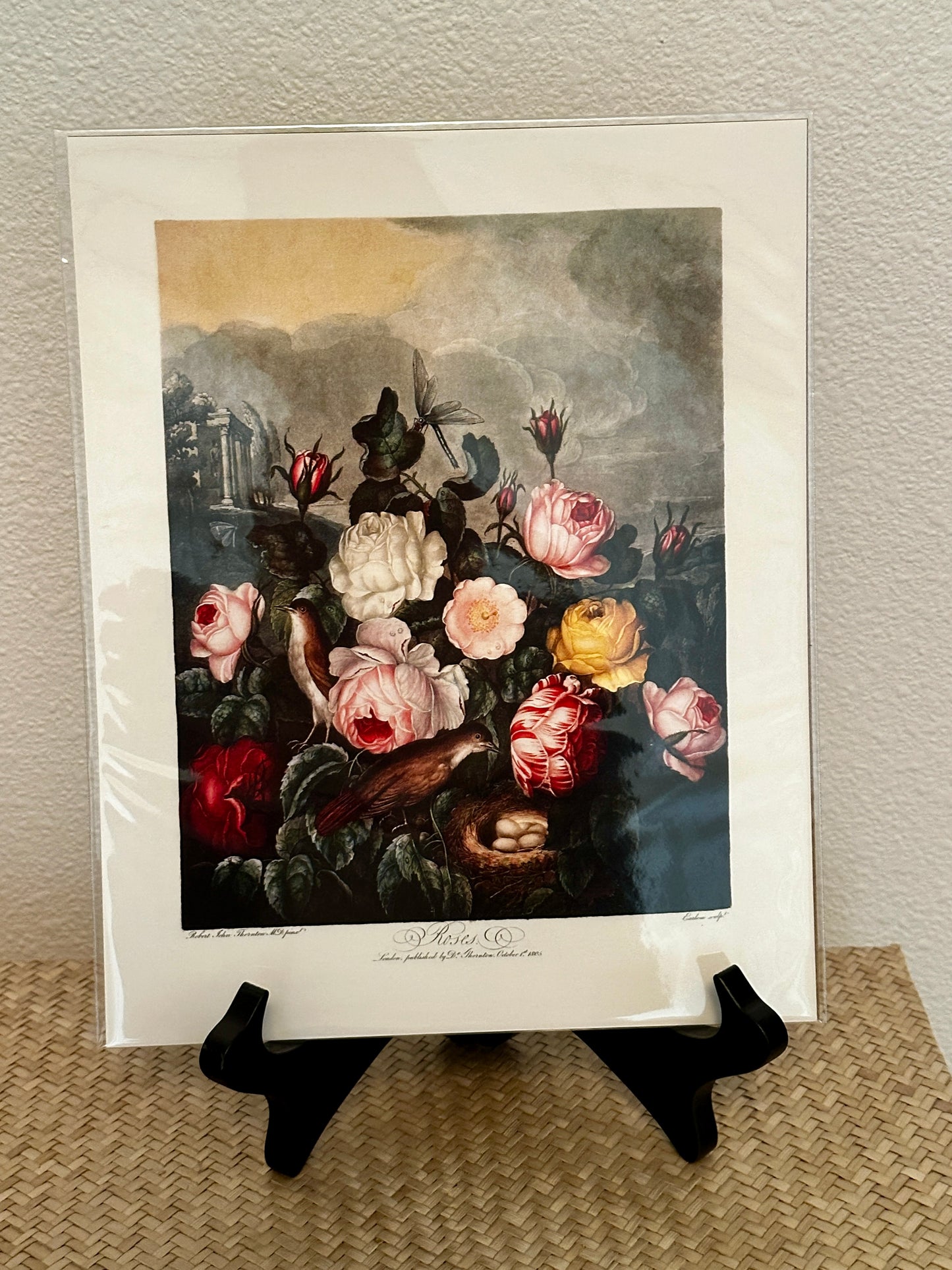 Curious Prints Vintage Botanical Garden Roses