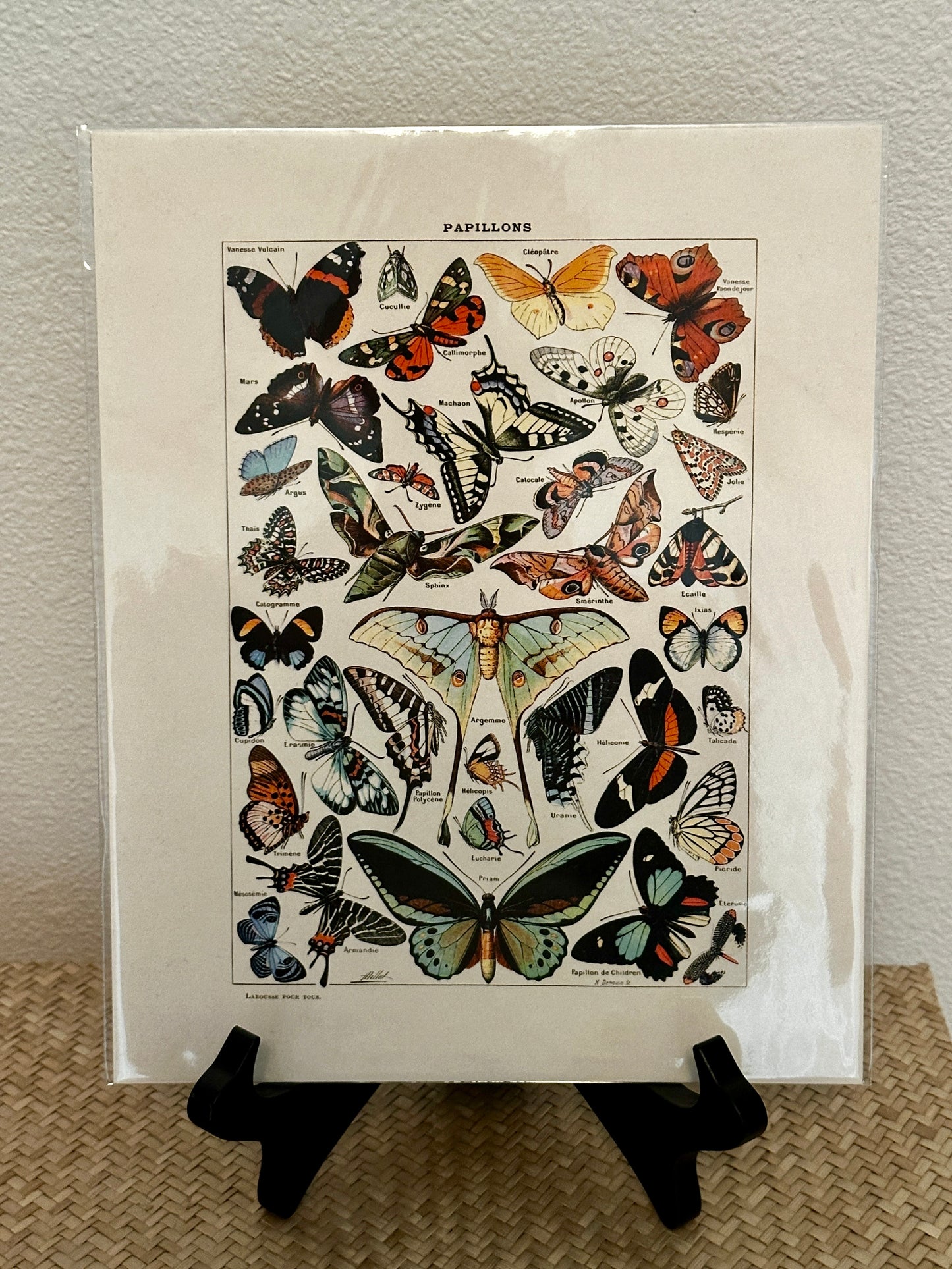 Curious Prints Vintage Millot Butterfly III