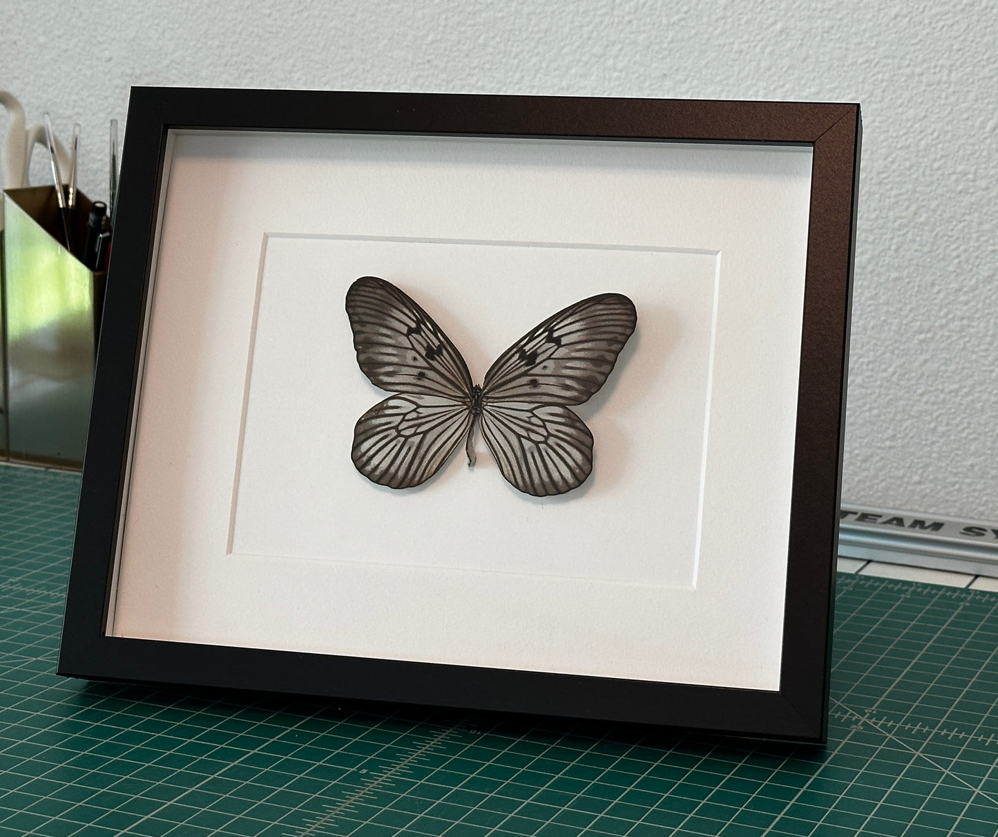 Rice Paper Butterfly