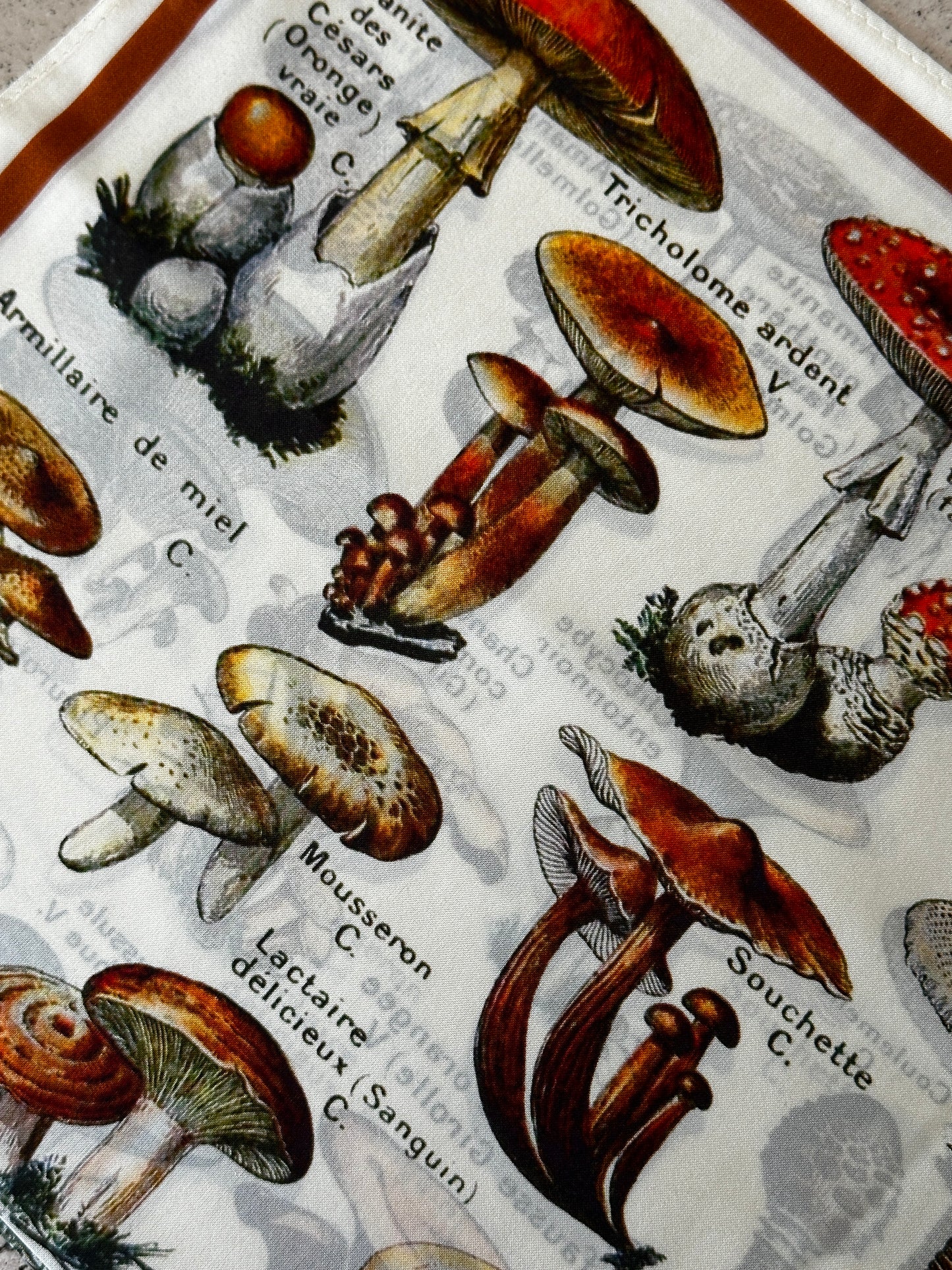 Curious Prints Vintage Mushroom Tapestry Silk Scarf